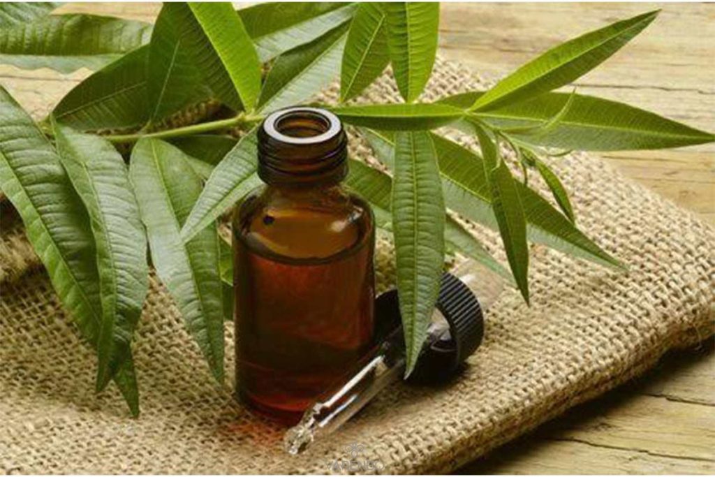 روغن درخت چای-درمان فوری جای جوش